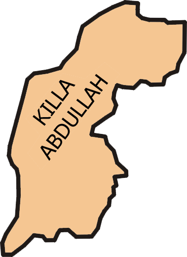Drugs Smuggler Captured in Killa Abdullah
