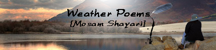 Weather Poems